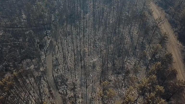 Muğla Seydikemer’deki orman yangınına havadan müdahale yeniden başladı