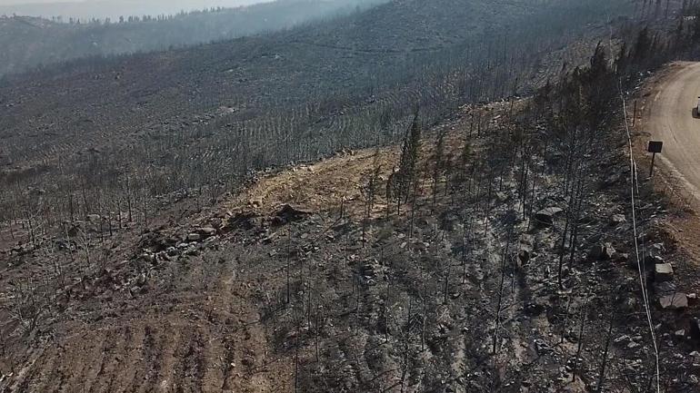 Muğla Seydikemer’deki orman yangınına havadan müdahale yeniden başladı
