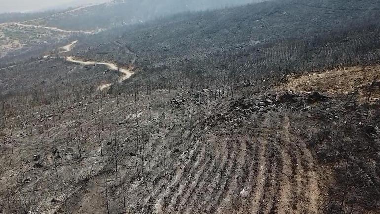 Muğla Seydikemer’deki orman yangınına havadan müdahale yeniden başladı