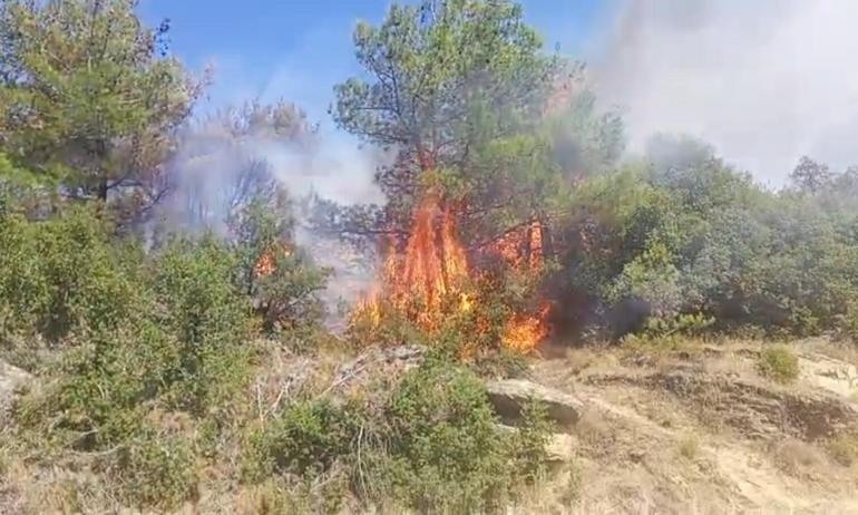 Aydındaki orman yangını 2’nci gününde