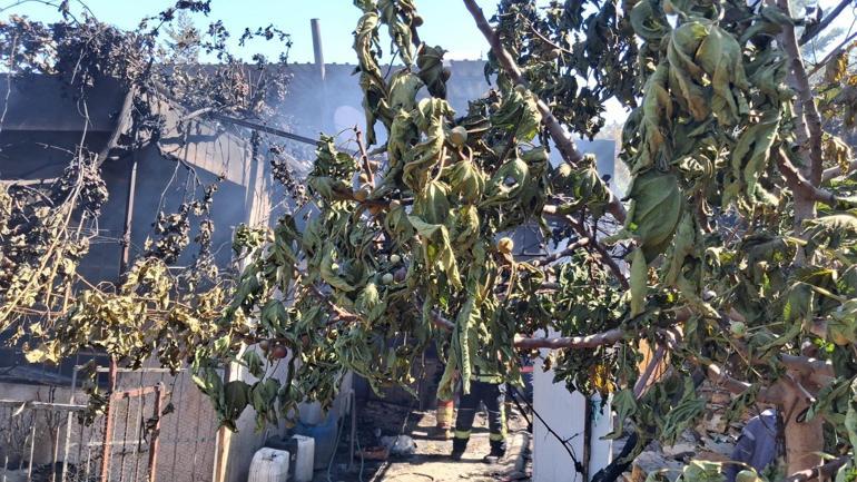 Mersin’deki orman yangını ikinci gününde kontrol altına alındı