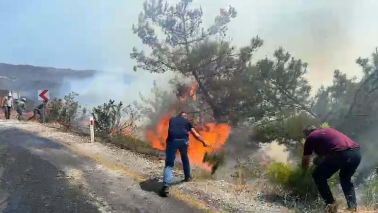 Aydındaki orman yangını 2’nci gününde