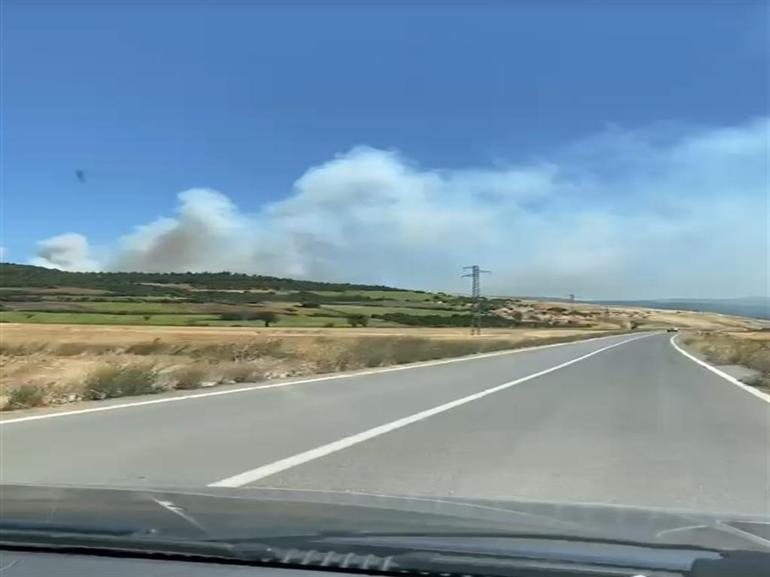 Balıkesir Susurluk’ta orman yangını