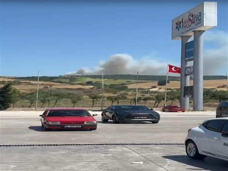 Balıkesir Susurluk’ta orman yangını