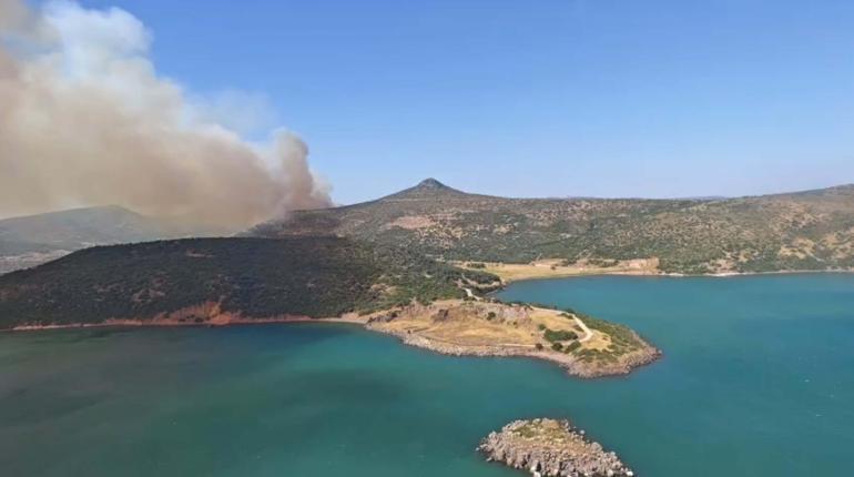 İzmir Foçada orman yangını