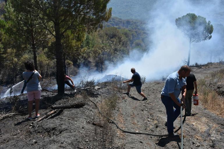 Balıkesir Gömeçteki orman yangını 3üncü gününde