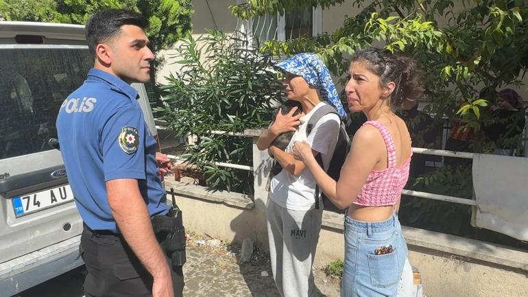 Avcılar’da çatı katında çıkan yangında 10 kedi öldü; 2 kedi çatıdan atladı
