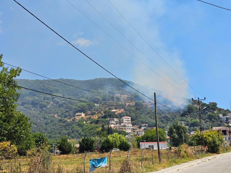 Marmara Adası’nda orman yangını