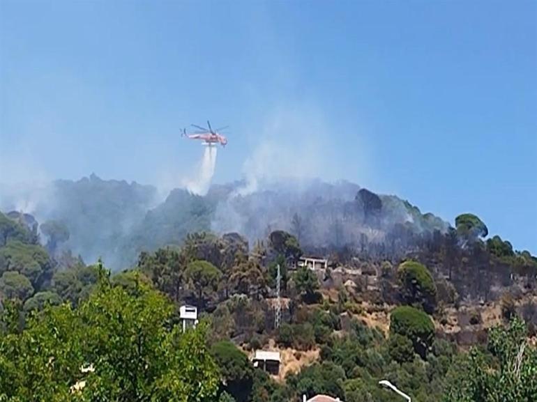 Marmara Adası’nda orman yangını