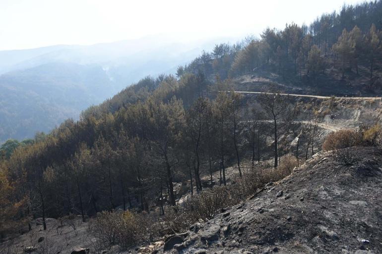 Aydındaki orman yangını 4üncü gününde