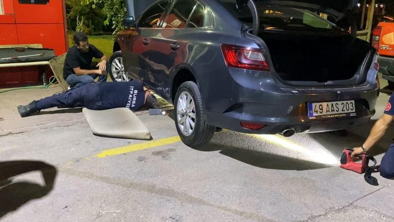 Bursada otomobilin motoruna giren yılan itfaiye ekipleri tarafından çıkarıldı Bursada otomobilin motoruna giren yılan itfaiye ekipleri tarafından çıkarıldı
