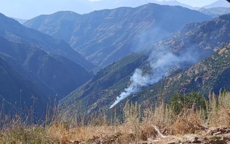 Munzur Vadisi Milli Parkında orman yangını