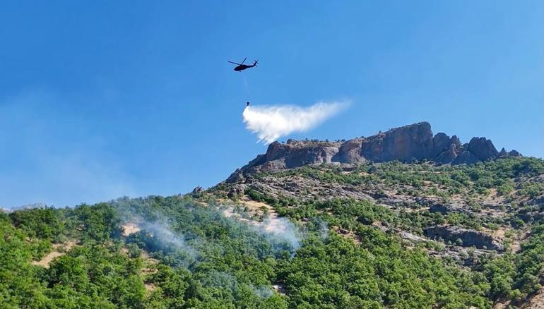 Munzur Vadisi Milli Parkındaki yangın kontrol altına alındı