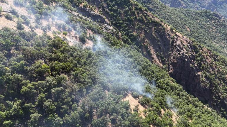 Munzur Vadisi Milli Parkındaki yangın kontrol altına alındı