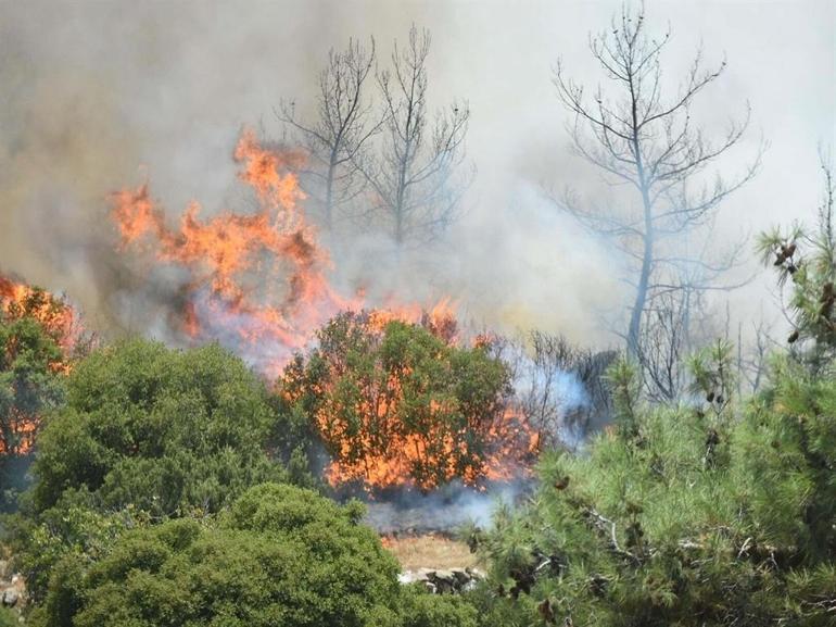 Çinedeki orman yangınında koca tutuklandı, eşi serbest