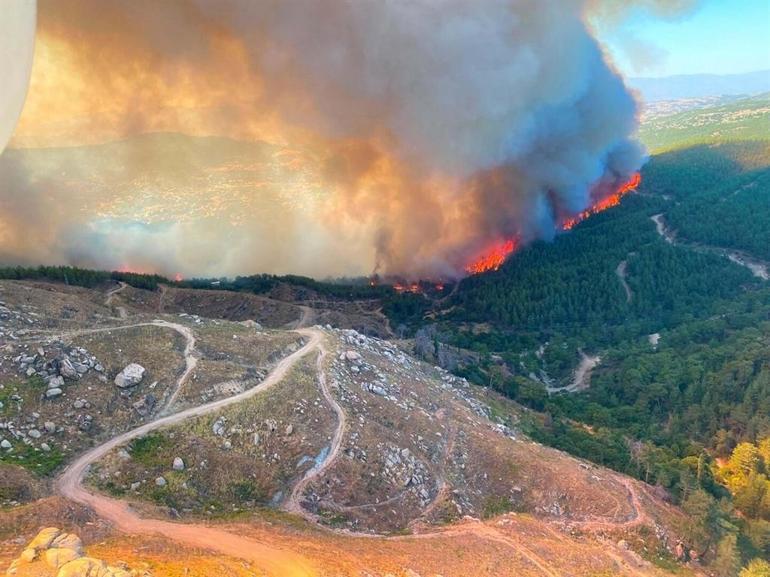 Çinedeki orman yangınında koca tutuklandı, eşi serbest