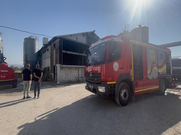 Bursada tavuk çiftliğinde yangın