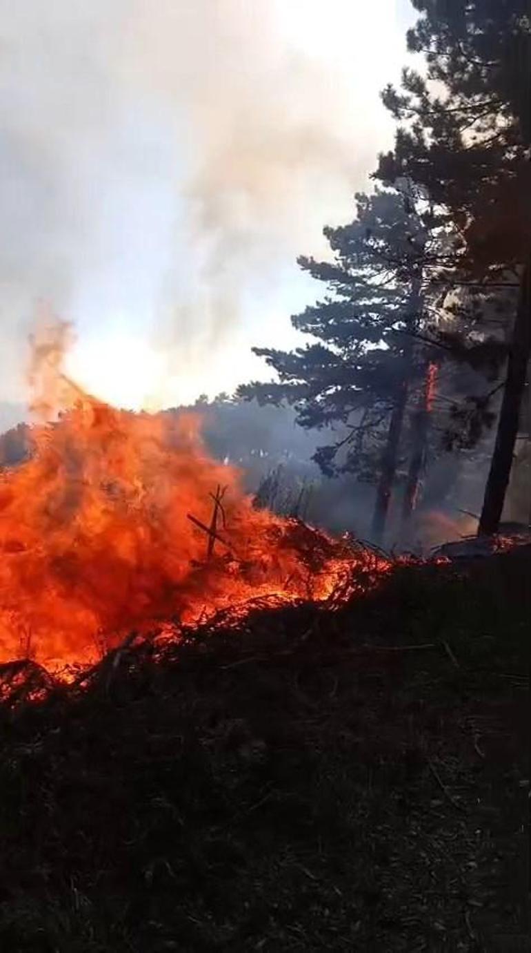 Uludağda orman yangın