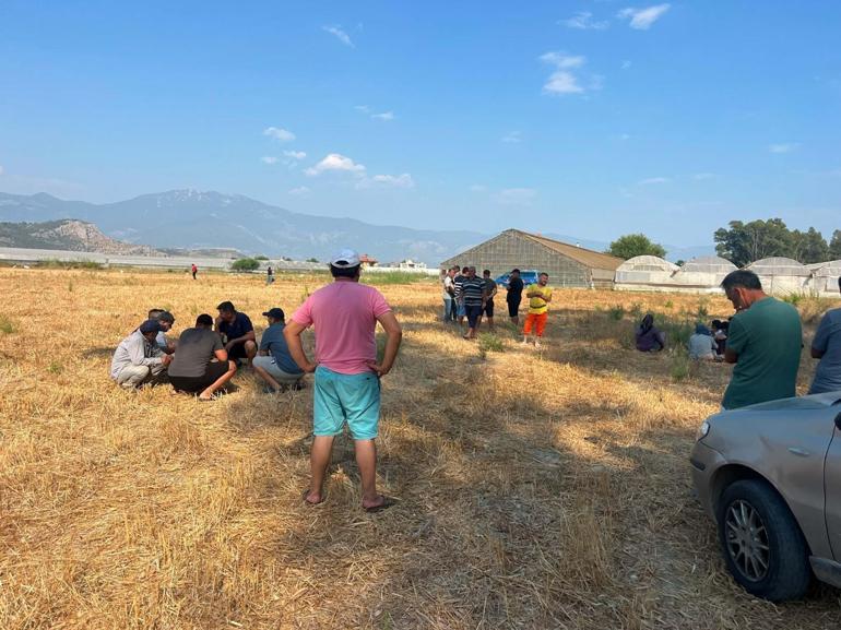 Muğla’da 4 gündür kayıp olarak aranıyordu, serada ölü bulundu