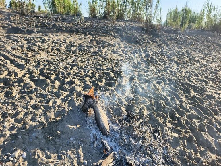 Kumsalda yakılan ateş, denize ulaşmaya çalışan yavru carettanın ölümüne neden oldu