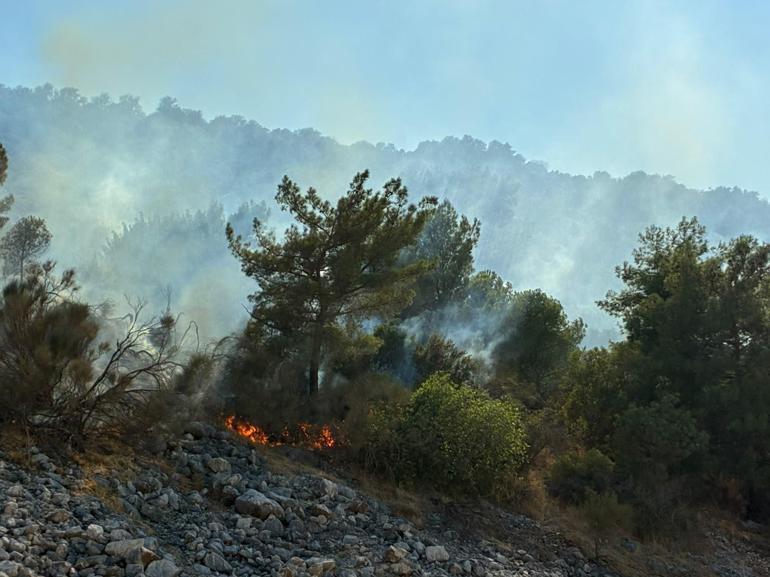 Antalyanın 2 ilçesinde orman yangını