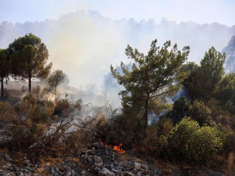 Antalyanın 2 ilçesinde orman yangını