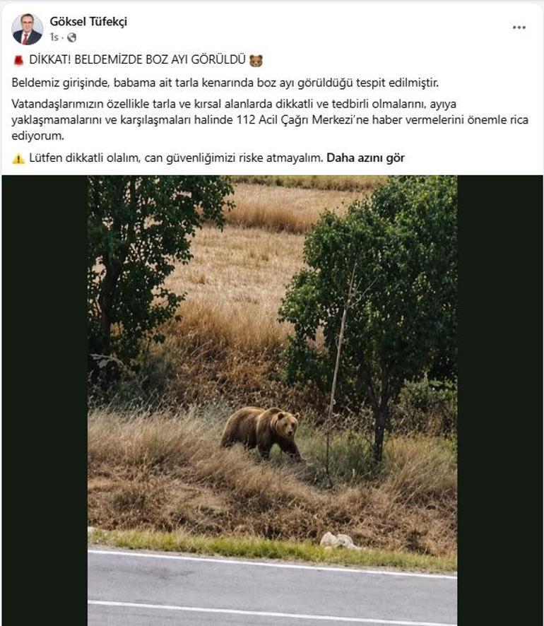 Belediye başkanından vatandaşlara ‘bozayı’ uyarısı