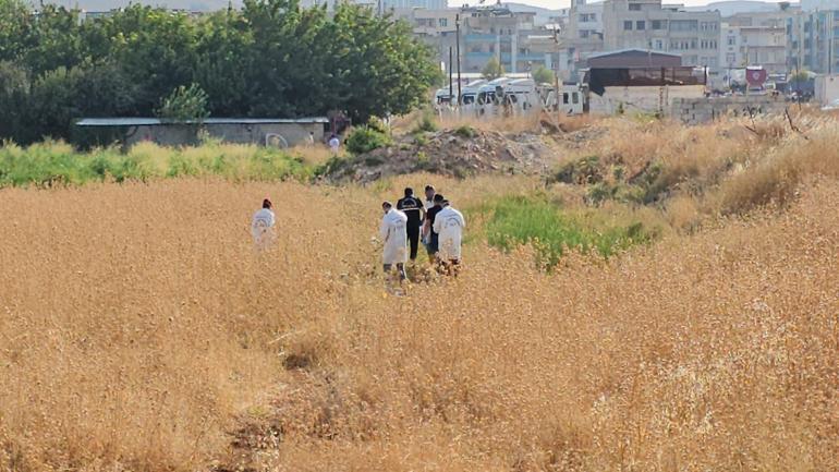 Şanlıurfa’da tarlada erkek cesedi bulundu
