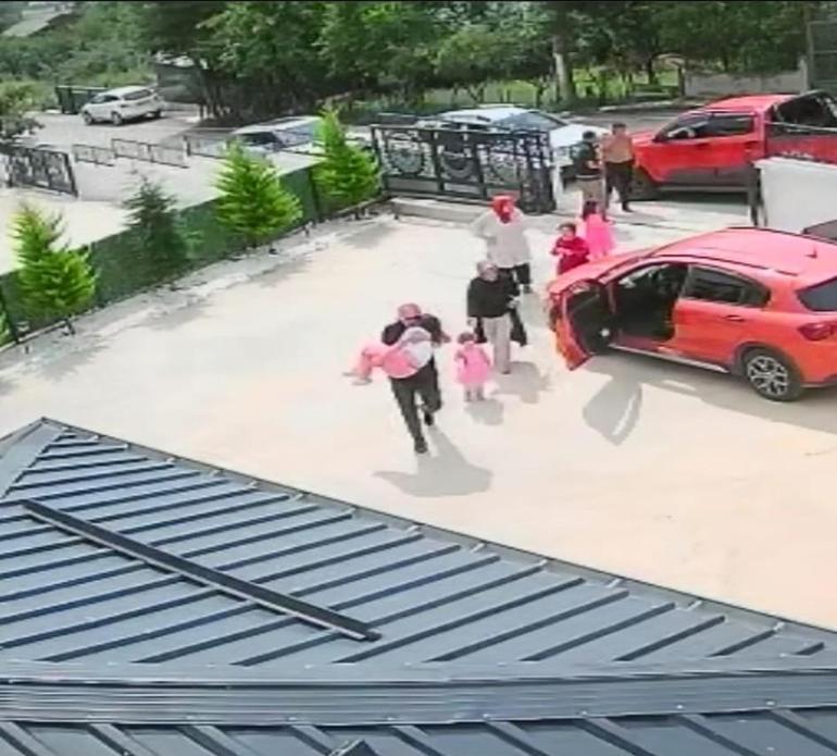 Ordu’da otomobilin çarptığı köpek öldü; 10 yaşındaki kız bayıldı