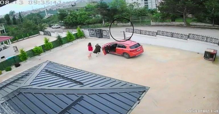 Ordu’da otomobilin çarptığı köpek öldü; 10 yaşındaki kız bayıldı