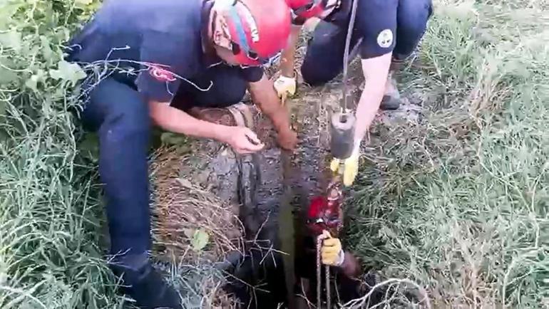 Kuyuya düşen ineğini kurtaran ekiplere sarılıp, gözyaşı döktü