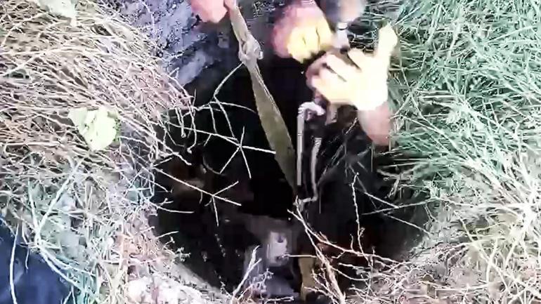 Kuyuya düşen ineğini kurtaran ekiplere sarılıp, gözyaşı döktü
