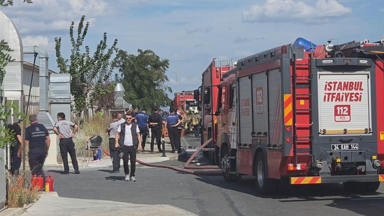 Bakırköyde hastane bahçesinde çıkan yangın söndürüldü