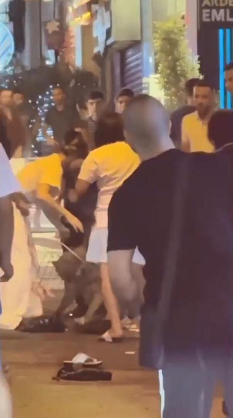 Beyoğlunda terriere saldıran pitbull cinsi köpeğin sahibinin bıçaklandığı kavga kamerada