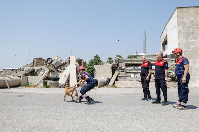 17 Ağustos depreminde bölgede görev yapan itfaiyeciler yaşananları anlattı