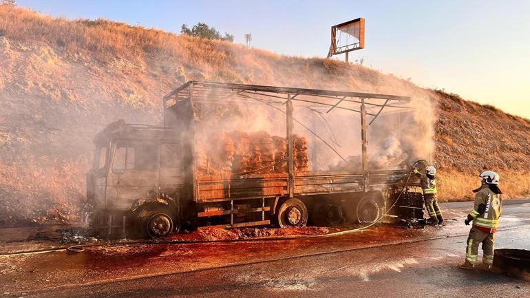 Manisada seyir halindeki TIR alev alev yandı