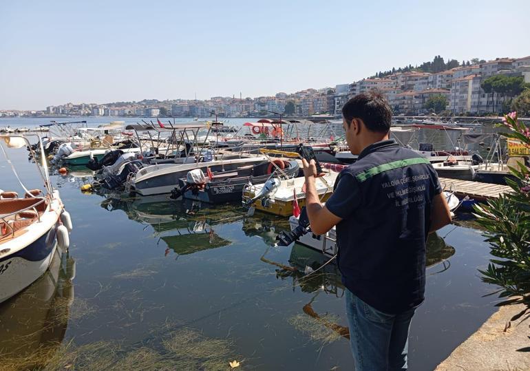 Antalya ve Yalovada atık suları arıtmadan deşarj eden belediyelere 7,9 milyon lira ceza
