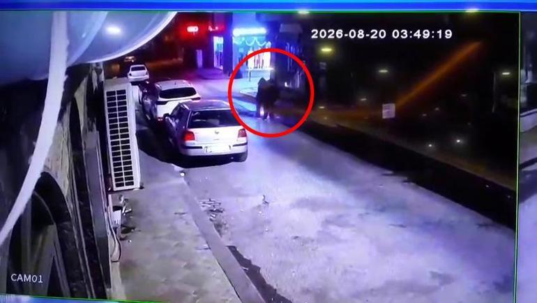 3 kardeşi denizde ölü bulunan, kendisi ise aranan kıza sağ ulaşıldı