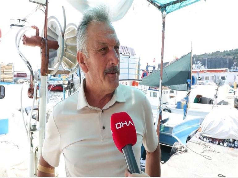 Balıkçılar 1 Eylüldeki yeni av sezonundan umutlu; palamut çok yoğun