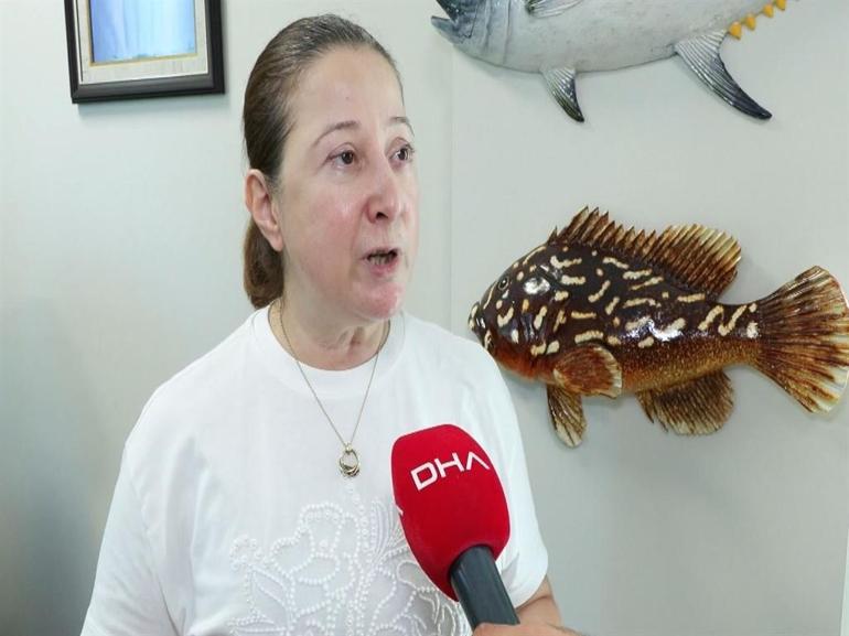 Balıkçılar 1 Eylüldeki yeni av sezonundan umutlu; palamut çok yoğun
