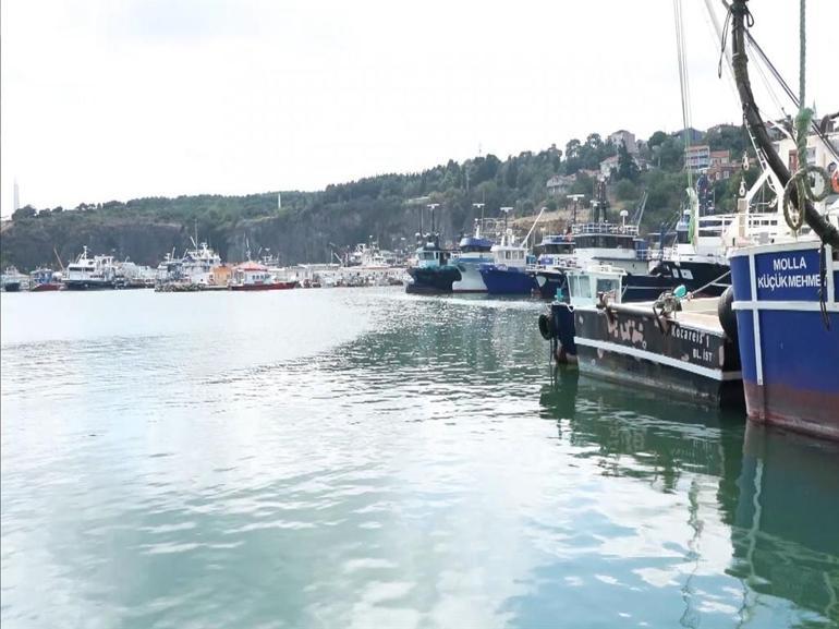 Balıkçılar 1 Eylüldeki yeni av sezonundan umutlu; palamut çok yoğun