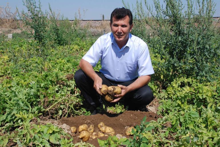Niğdede kilosu 25 liradan satılan patates, üreticinin yüzünü güldürdü