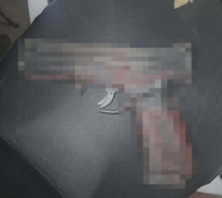 Taraftar gruplarına yönelik operasyonda 51 tutuklama