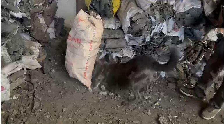 Ankarada kömür yüklü TIRda 1,5 kilo esrar ele geçirildi