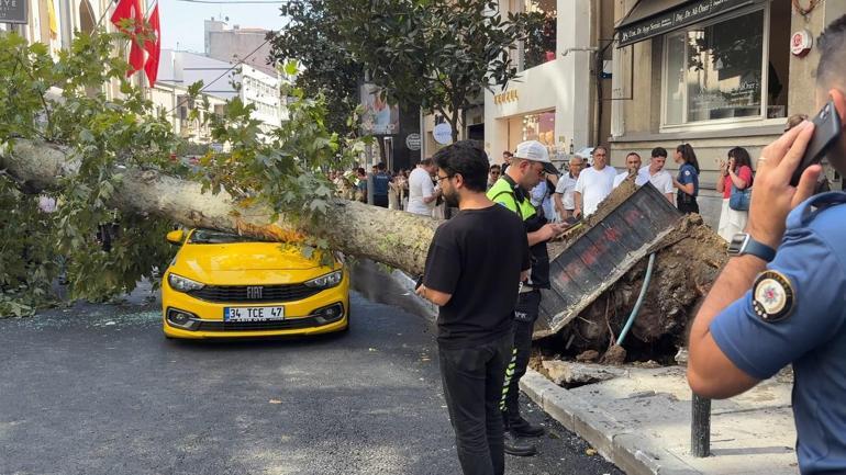 Şişli’de ağaç devrildi; yol trafiğe kapandı