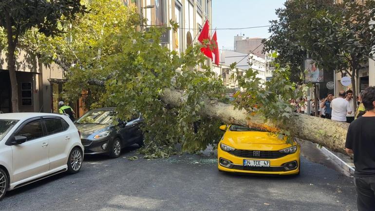 Şişli’de ağaç devrildi; yol trafiğe kapandı