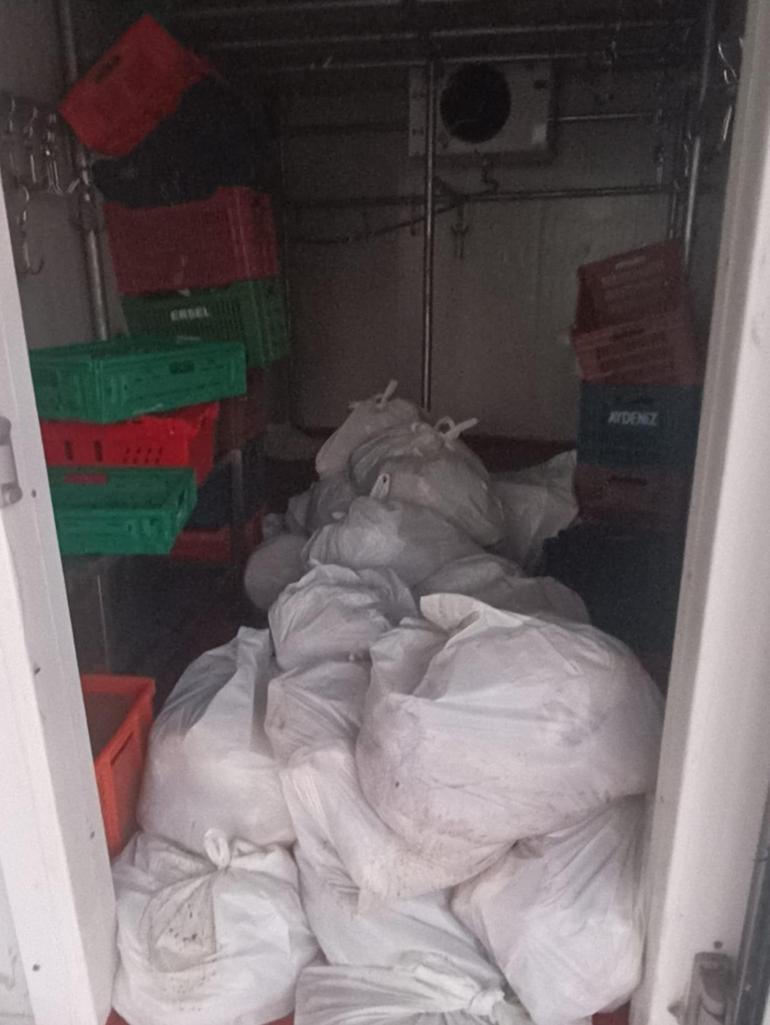 Bodrum’da 400 kilo bozuk ete el konuldu