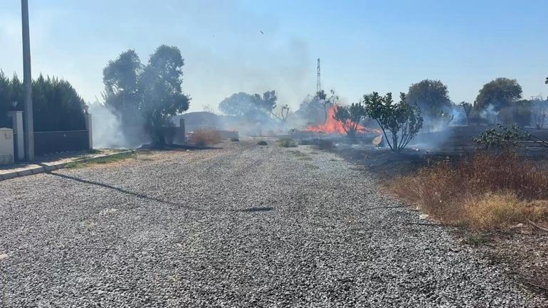 Aydında ot yangınında alevler zeytinliğe sıçradı