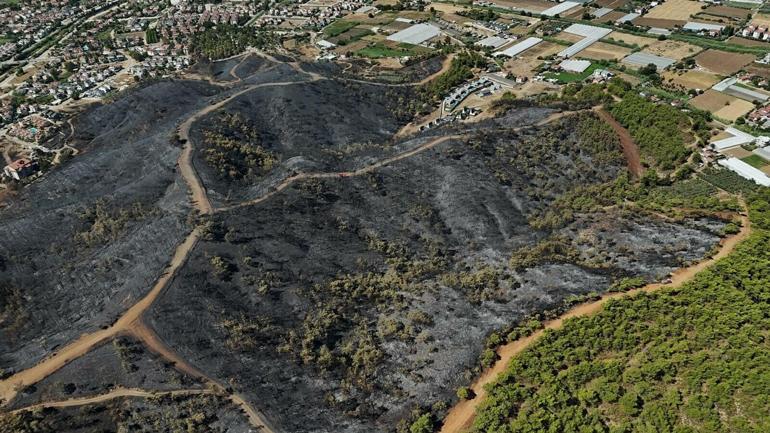 Muğladaki orman yangınında yanan alanlar dronla görüntülendi