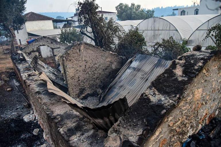 Seydikemerde tarım arazisinde çıkan yangın, Kaşta ormana sıçradı